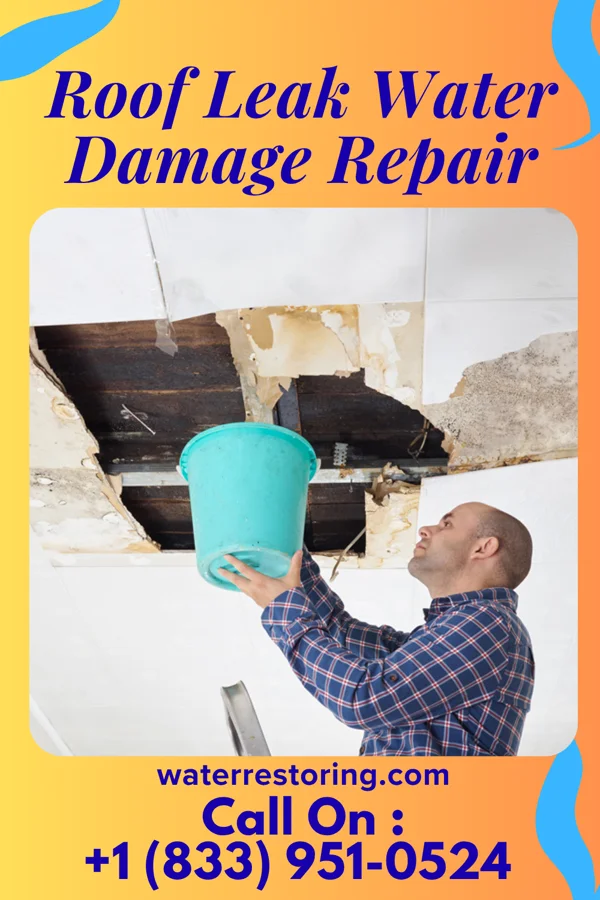 Roof Leak Water Damage Repair in Crittenden, KY