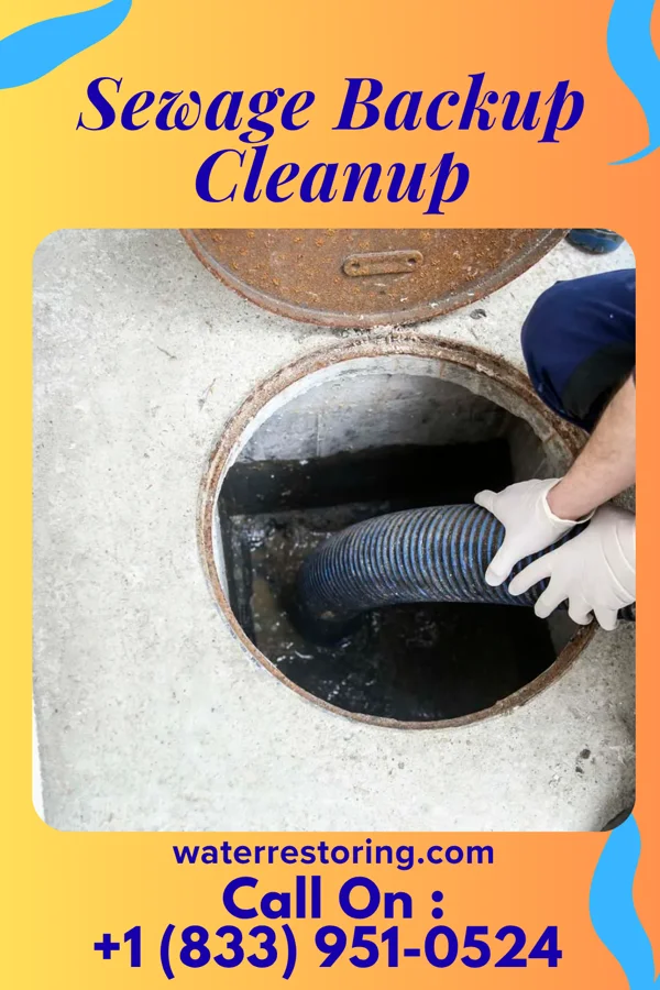Sewage Backup Cleanup in Crittenden, KY