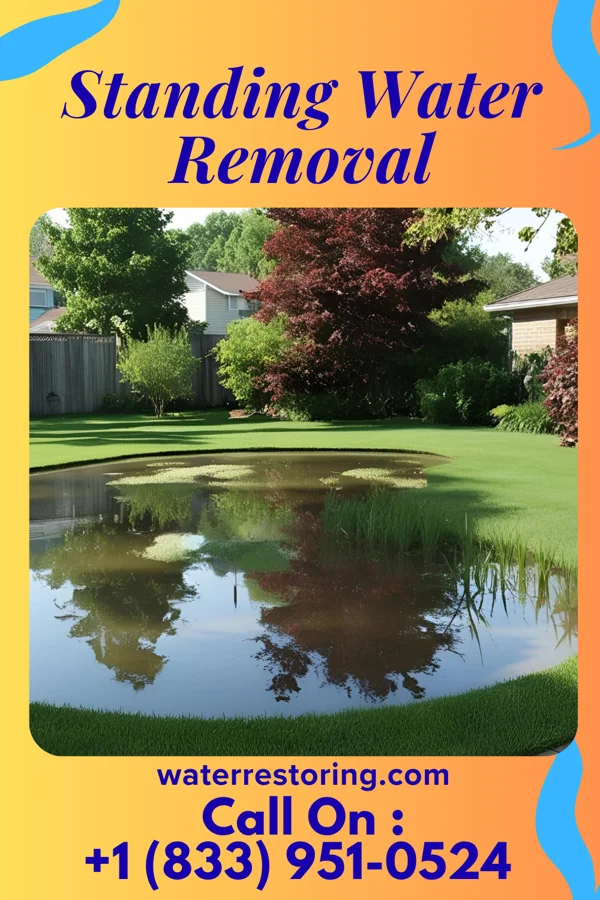 Standing Water Removal in Crittenden, KY